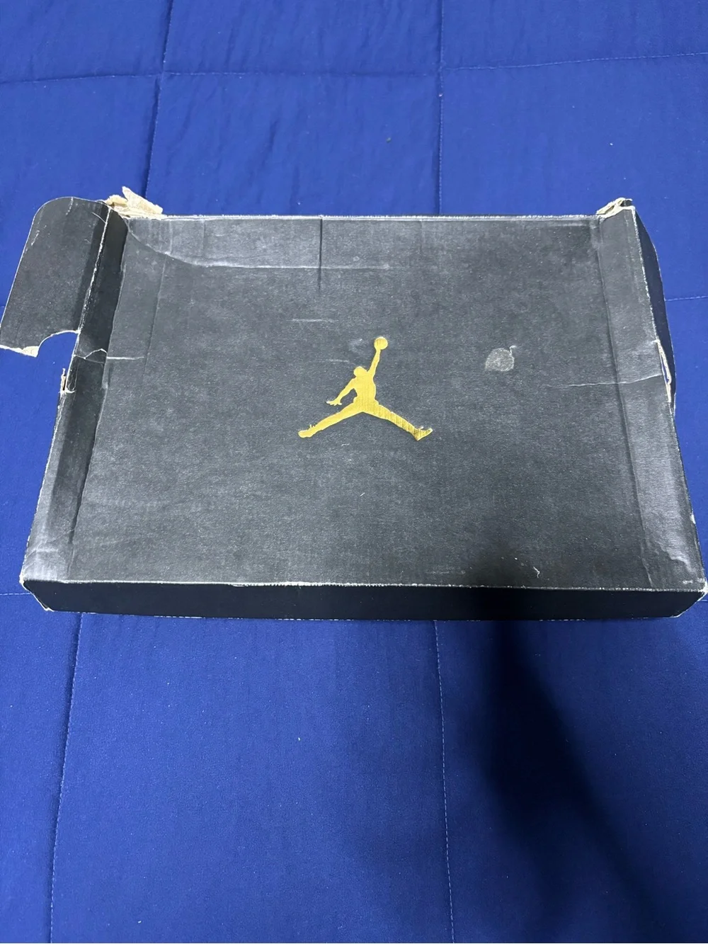 Jordan 12 Retro Low Playoffs Size 10.5